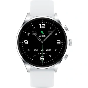 Смарт-часы Xiaomi Black Shark S1 Classic Silver (BS-S1C) EU
