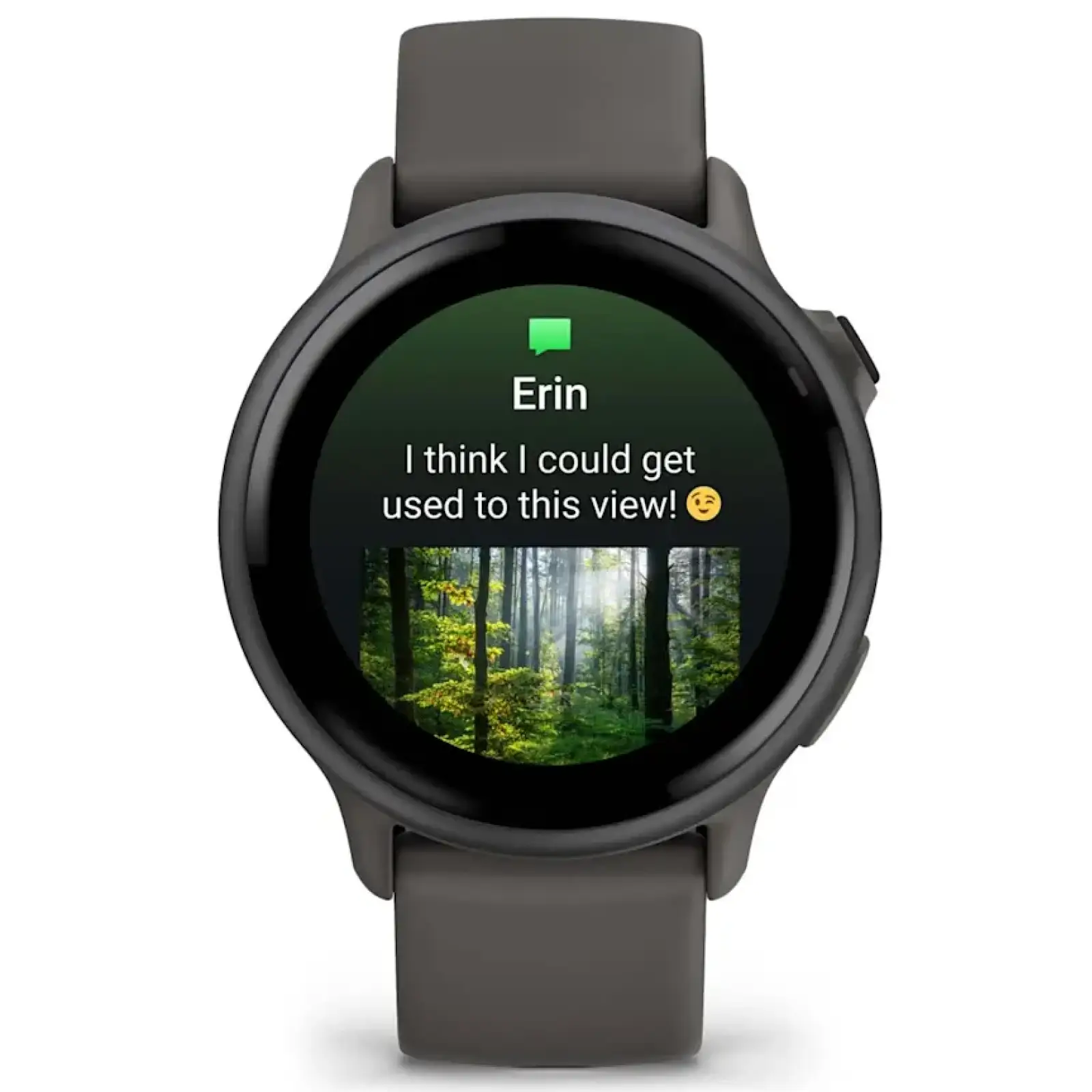 Смарт-часы Garmin Vivoactive 6 Slate with Pebble Grey Band (010-02985-04)