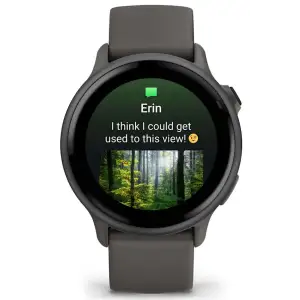Смарт-часы Garmin Vivoactive 6 Slate with Pebble Grey Band (010-02985-04)