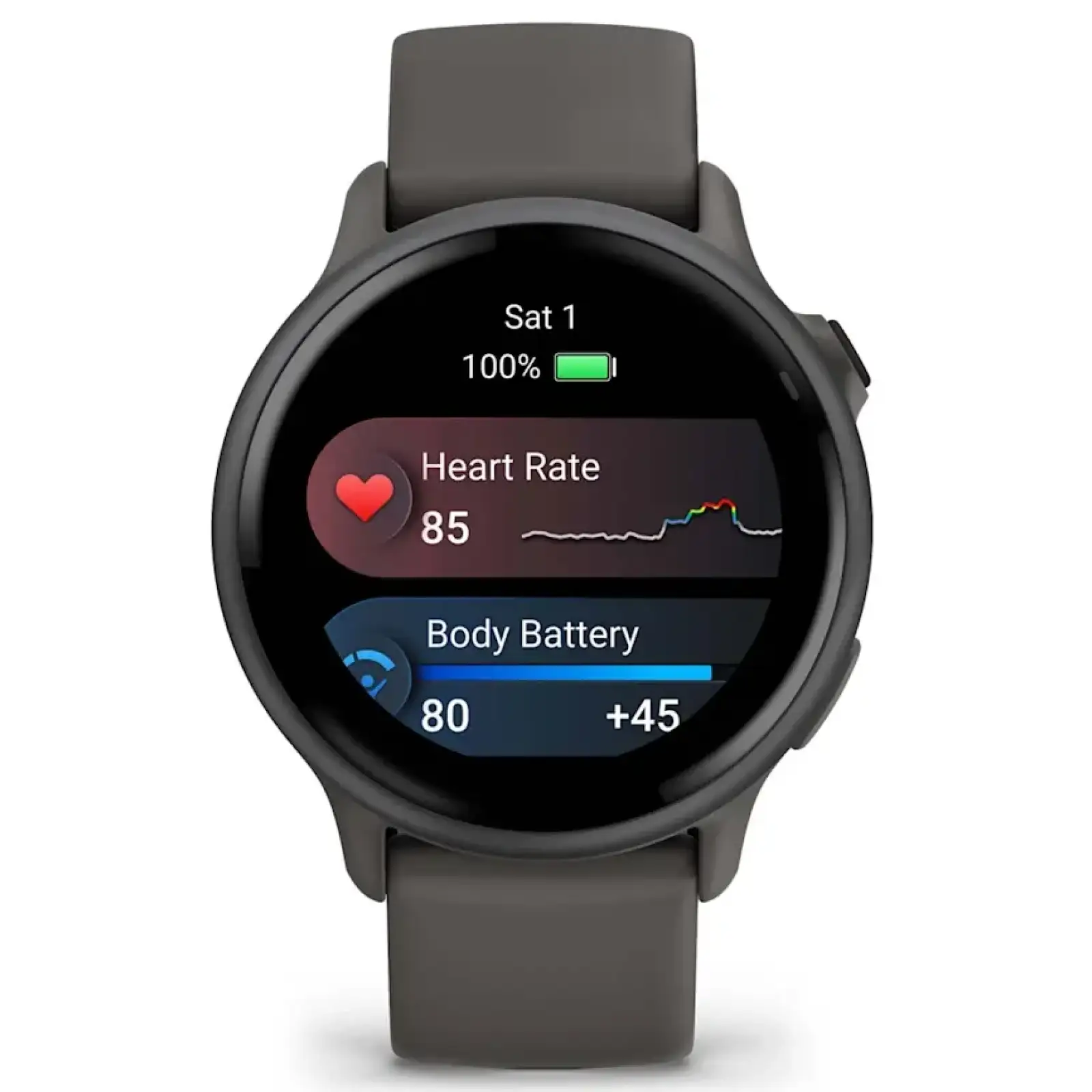 Смарт-часы Garmin Vivoactive 6 Slate with Pebble Grey Band (010-02985-04)