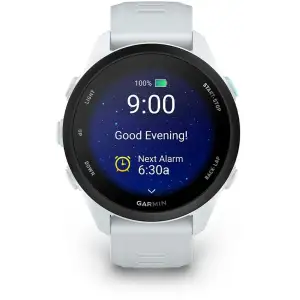 Смарт-годинник Garmin Forerunner 70 Whitestone (010-04307-01)