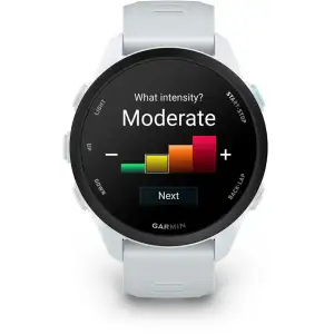 Смарт-годинник Garmin Forerunner 70 Whitestone (010-04307-01)