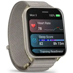 Смарт-часы Garmin Venu X1 Soft Gold with Titanium Caseback and French Gray Nylon Band (010-02980-33) UA