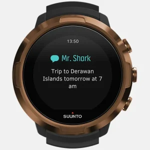 Смарт-годинник Suunto D5 Copper (SS050569000)