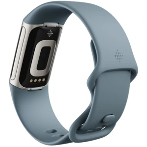 Фитнес-браслет Fitbit Charge 5 Platinum Stainless Steel Steel Blue Band (FB421SRBU)