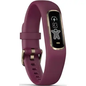 Детские часы Garmin Vivosmart 4 Rose Gold with Berry Band (010-01995-01)