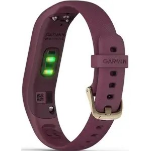 Дитячий годинник Garmin Vivosmart 4 Rose Gold with Berry Band (010-01995-01)