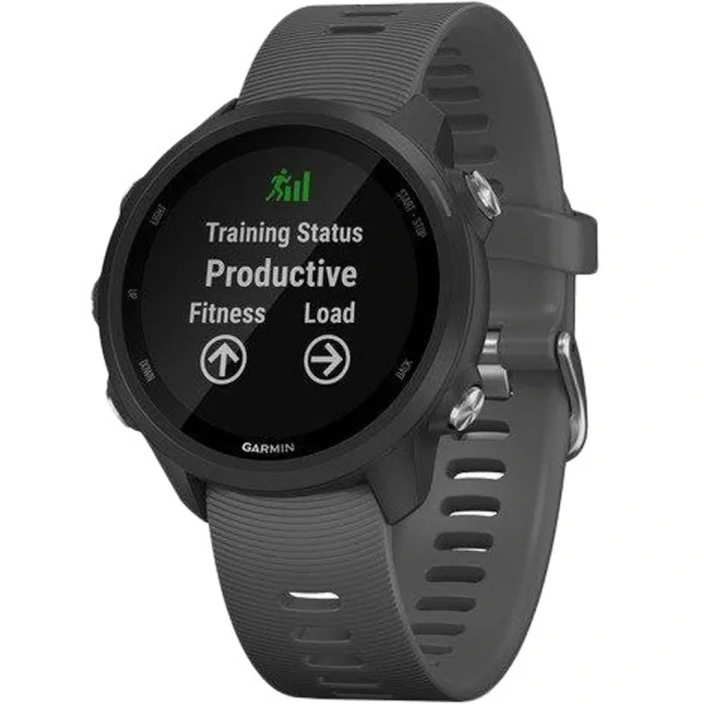 Смарт-часы GARMIN Forerunner 245 Black/Gray (010-02120-10) UA