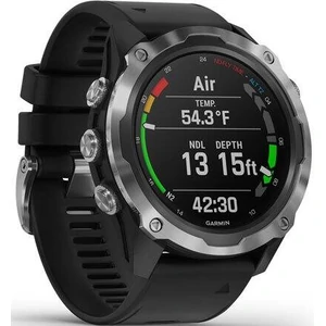 Смарт-часы GARMIN Descent Mk2 Stainless Steel with Black Band (010-02132-00, 010-02132-10)
