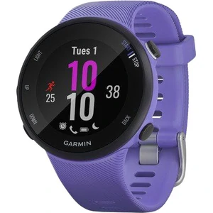 Смарт-часы Garmin Forerunner 45s Iris (010-02156-11/010-02156-01)