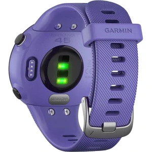Смарт-годинник GARMIN Forerunner 45s Iris (010-02156-11/010-02156-01)