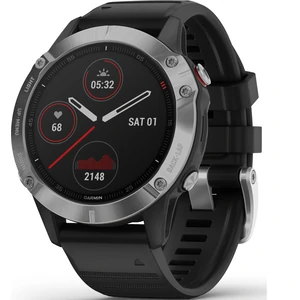 Смарт-годинник Garmin Fenix 6 Silver with Black Band (010-02158-00)