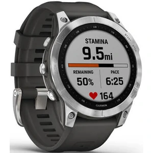 Смарт-годинник GARMIN Fenix 7 Silver with Graphite Band (010-02540-00/01)