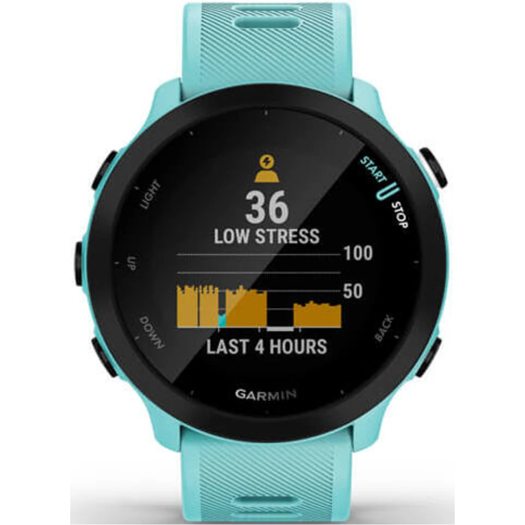 Смарт-годинник GARMIN Forerunner 55 Aqua (010-02562-12)
