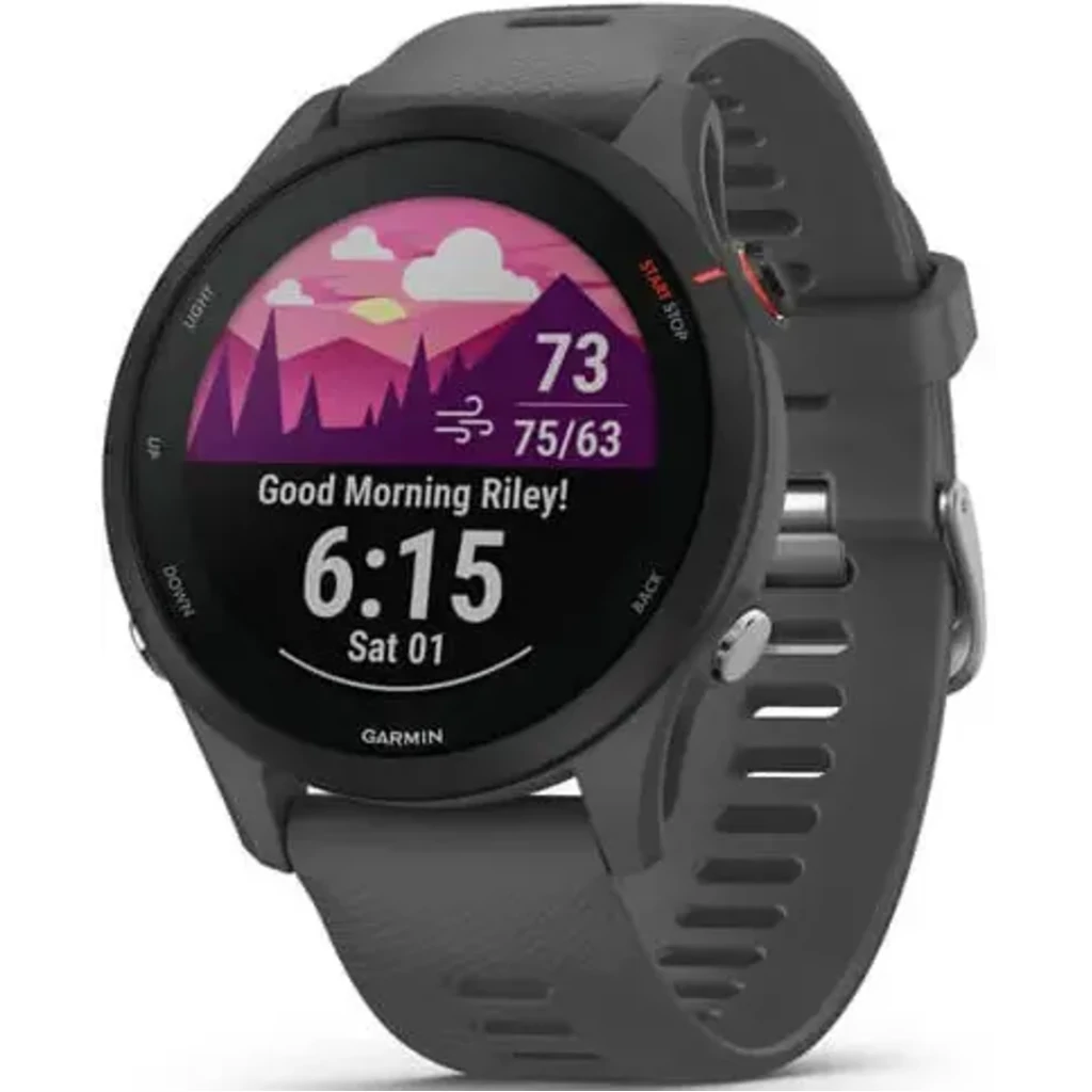 Смарт-годинник GARMIN Forerunner 255 Slate Gray (010-02641-00/10)