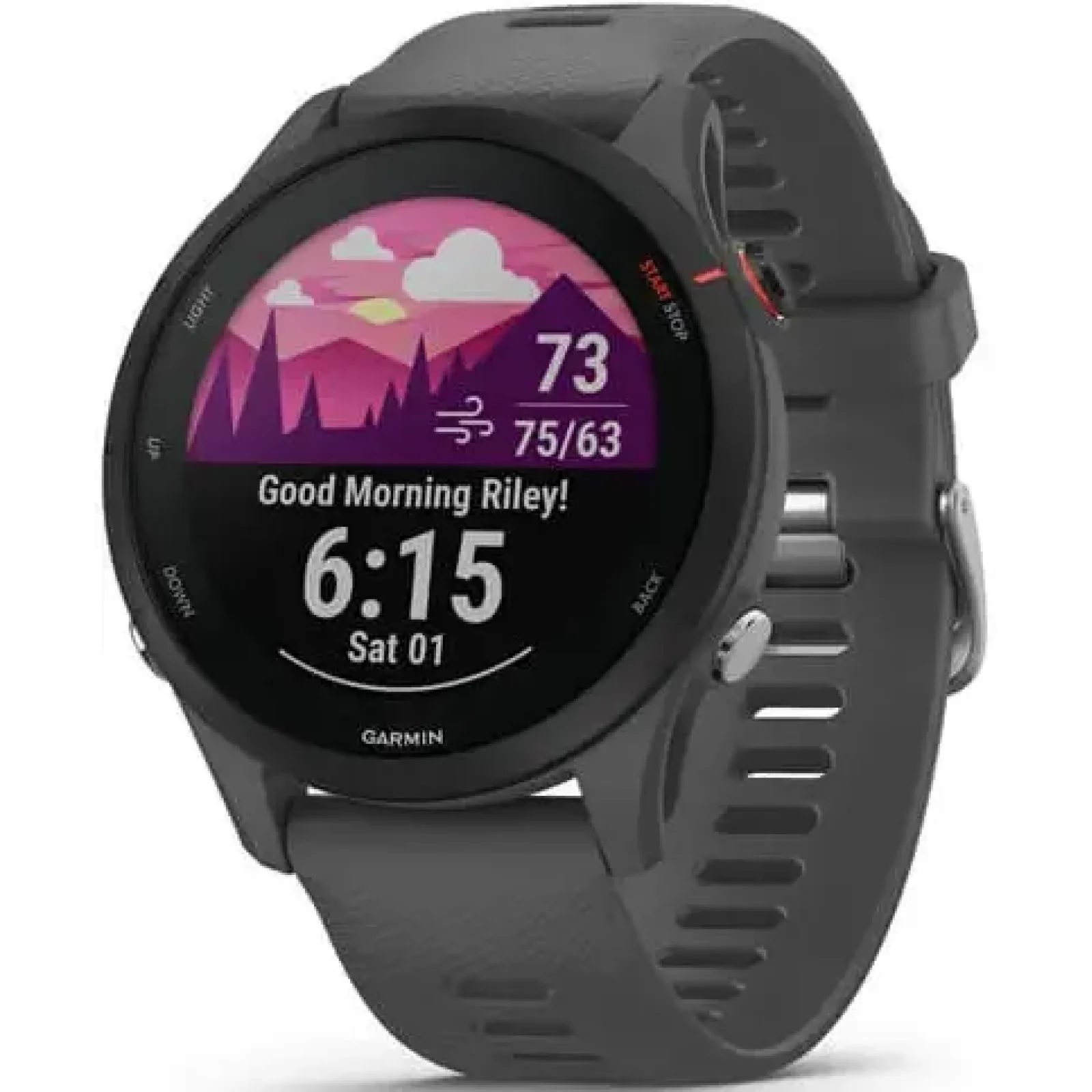 Смарт-годинник GARMIN Forerunner 255 Slate Gray (010-02641-00/10)