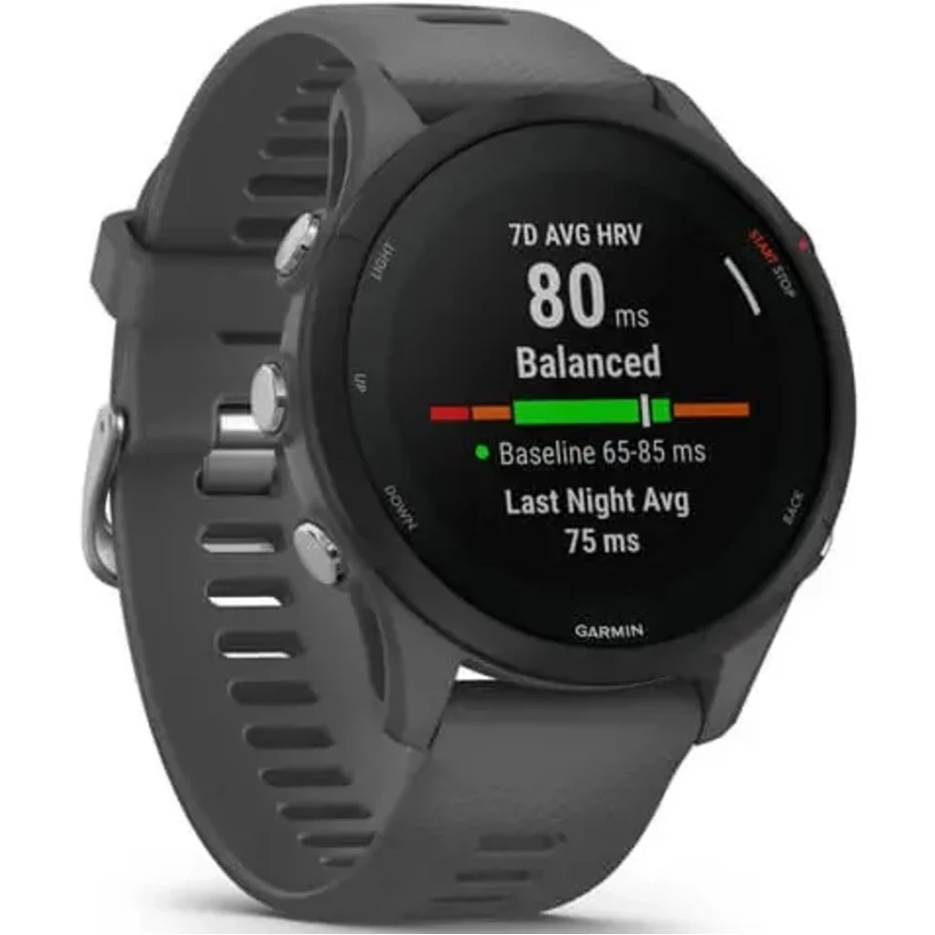 Смарт-годинник GARMIN Forerunner 255 Slate Gray (010-02641-00/10)