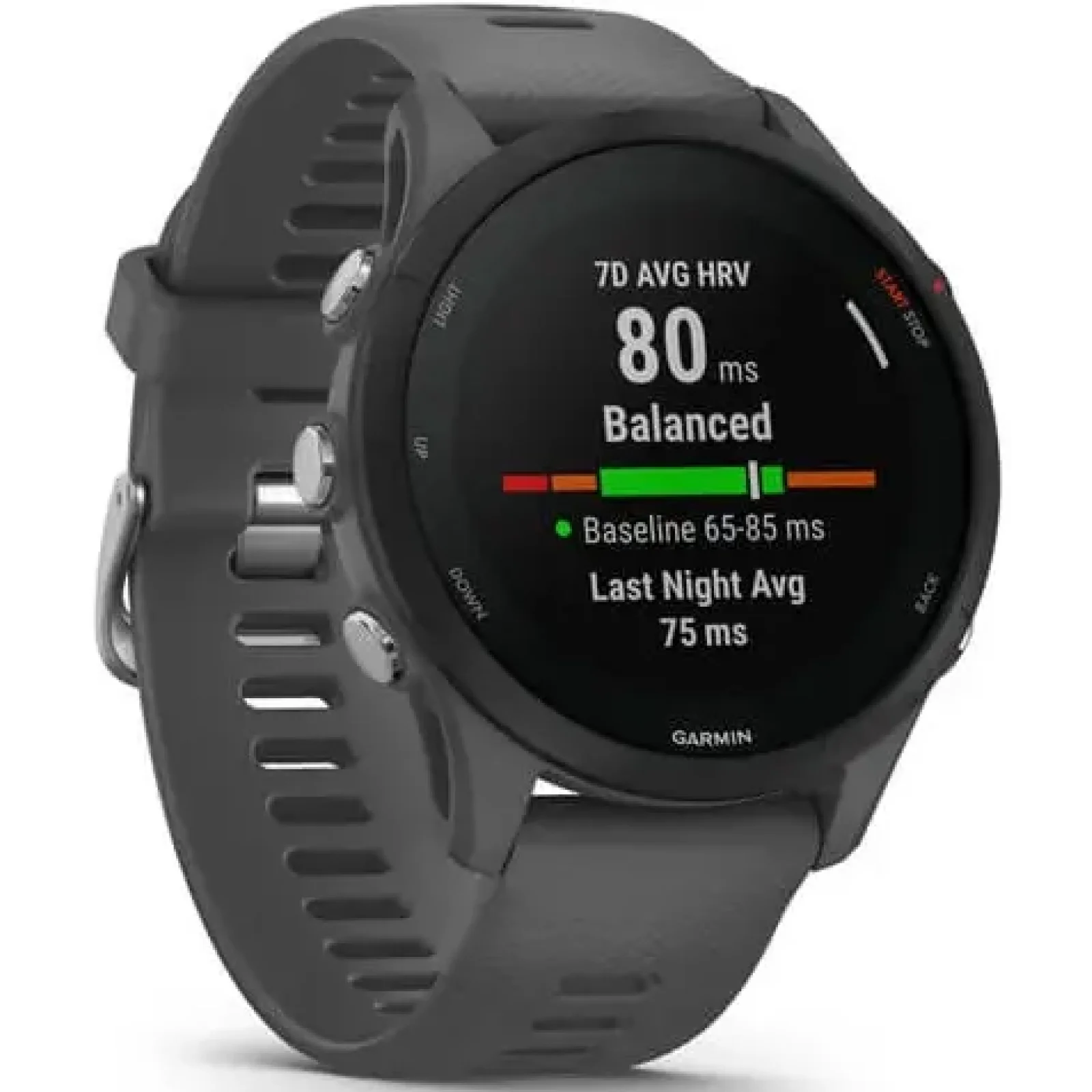 Смарт-годинник GARMIN Forerunner 255 Slate Gray (010-02641-00/10)