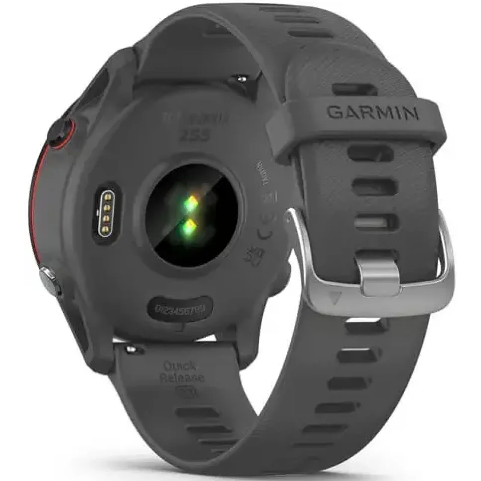 Смарт-годинник GARMIN Forerunner 255 Slate Gray (010-02641-00/10)