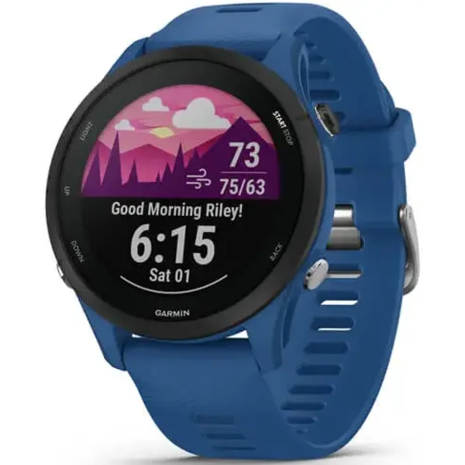 Смарт-годинник GARMIN Forerunner 255 Tidal Blue (010-02641-01/11)