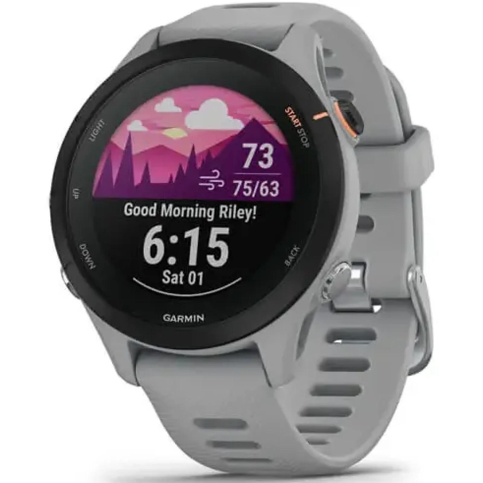 Смарт-годинник GARMIN Forerunner 255S Powder Gray (010-02641-02/12)