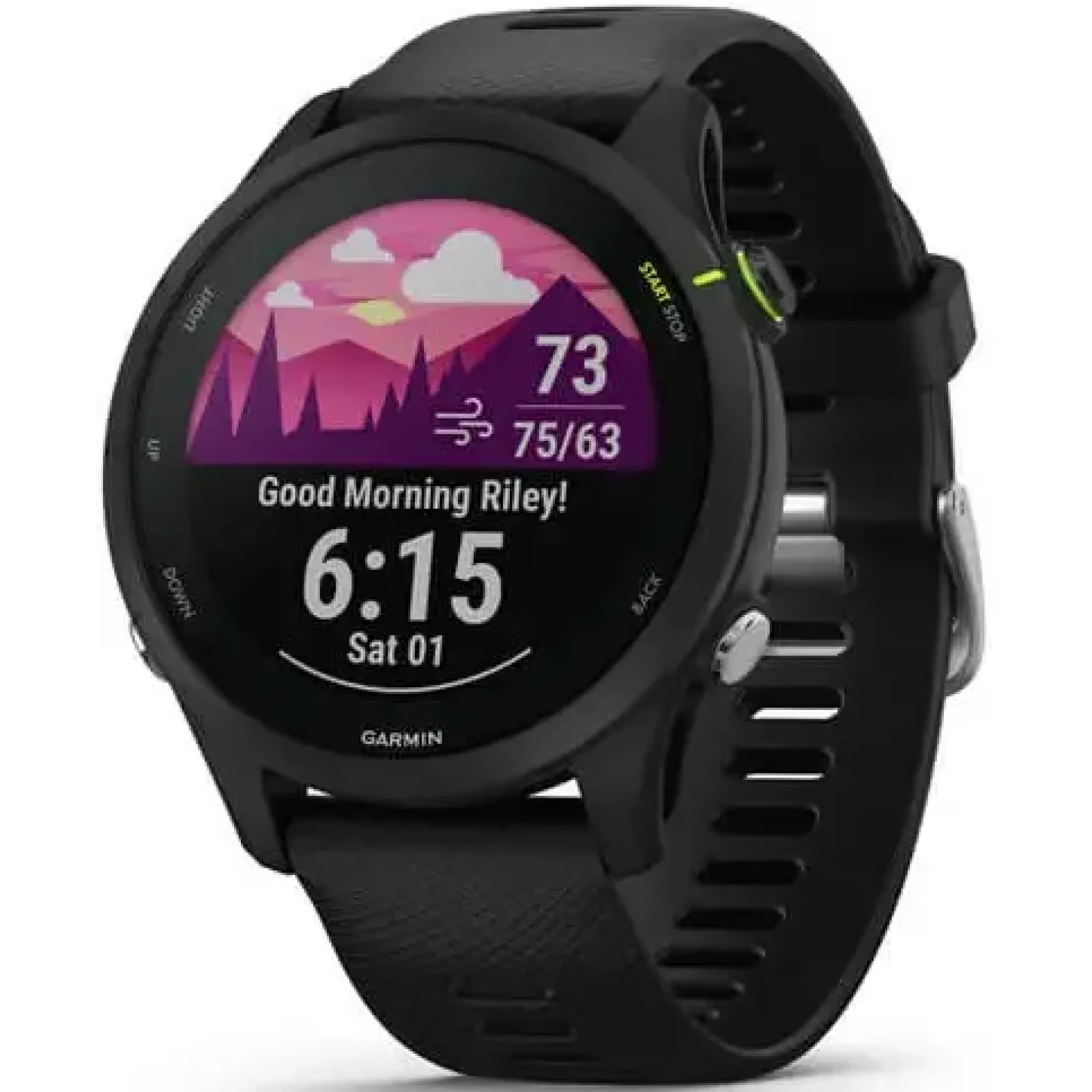 Смарт-годинник GARMIN Forerunner 255 Music Black (010-02641-20/30) UA