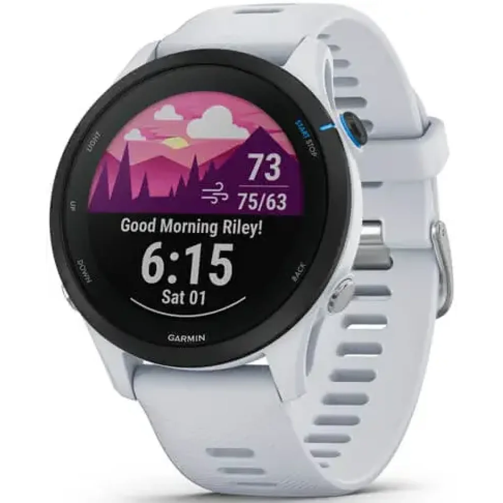 Смарт-годинник GARMIN Forerunner 255 Music Whitestone (010-02641-21/31)