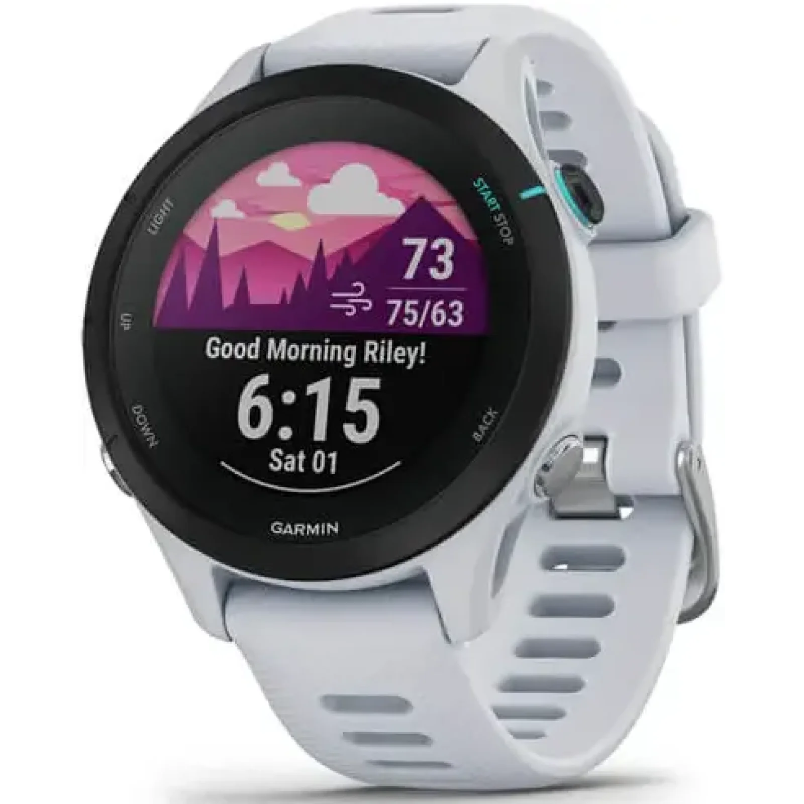 Смарт-годинник GARMIN Forerunner 255S Music Whitestone (010-02641-23/33)