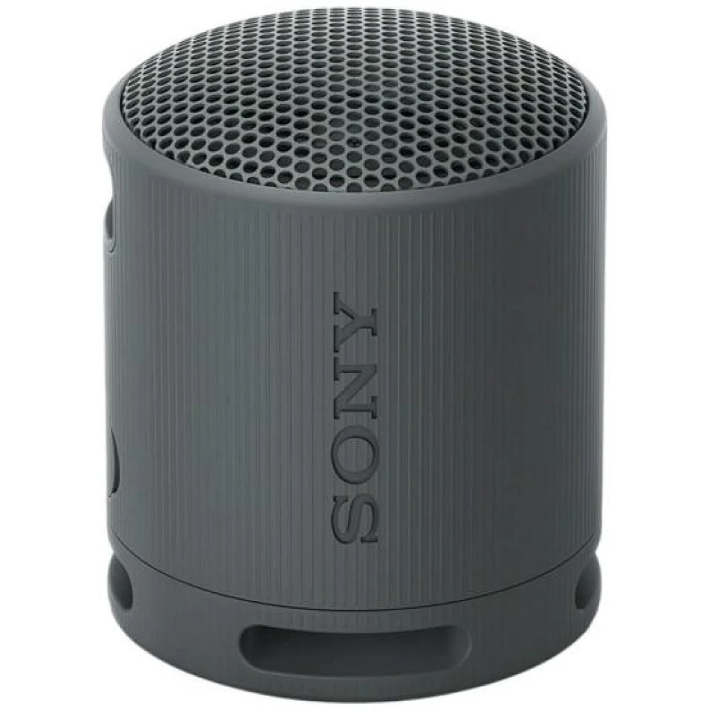 Портативна колонка Sony SRS-XB100 Black (SRSXB100B)
