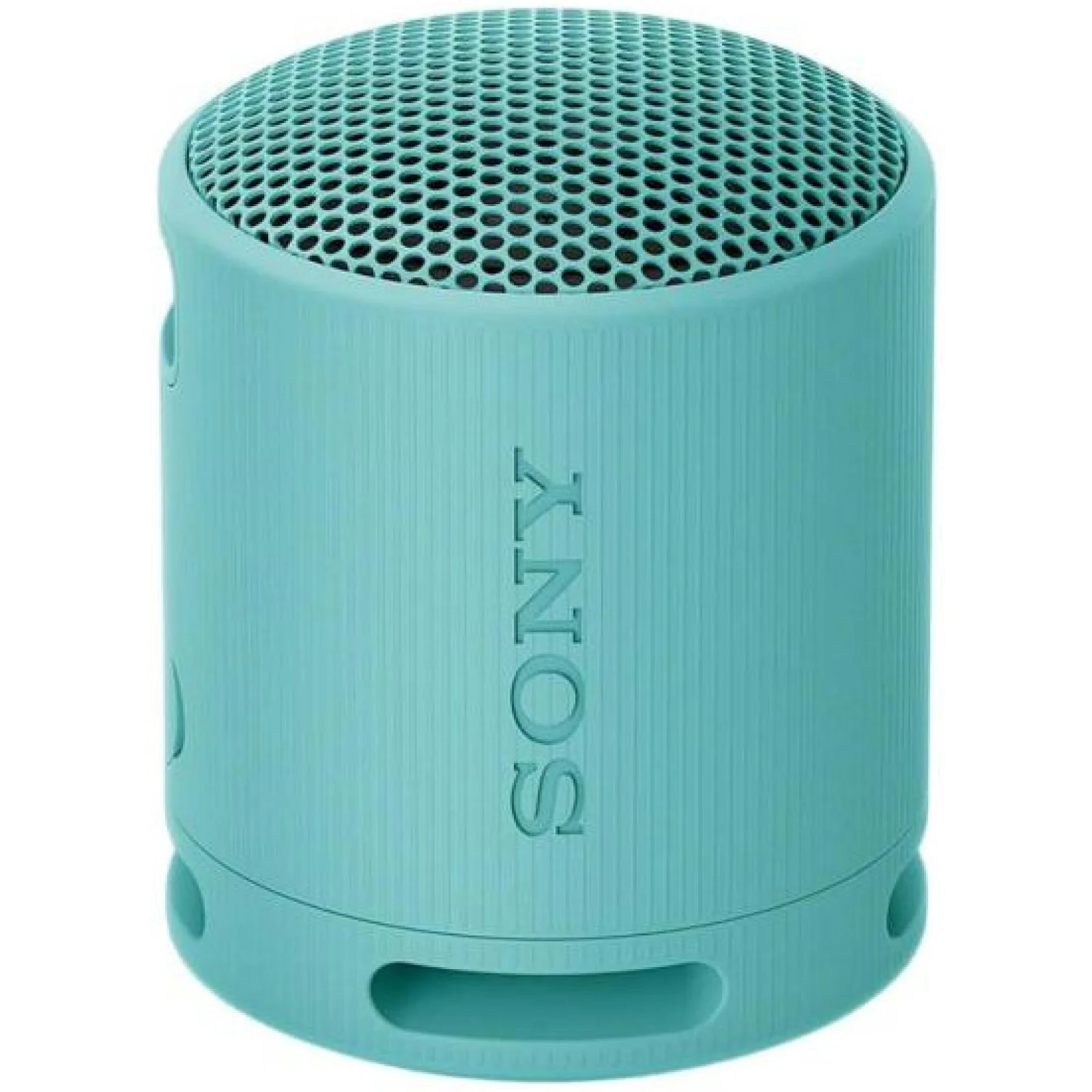 Портативная колонка Sony SRS-XB100 Blue (SRSXB100L.CE7)
