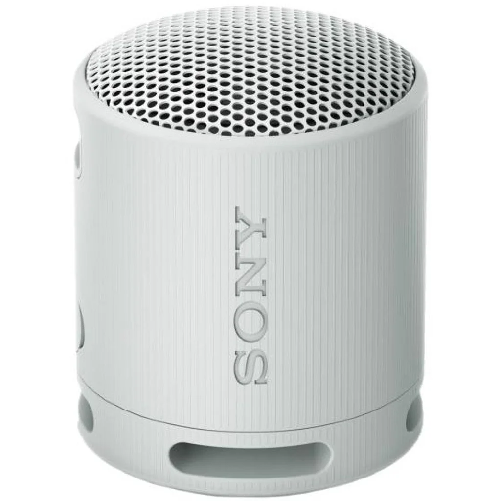 Портативна колонка Sony SRS-XB100 Grey (SRSXB100H.CE7)