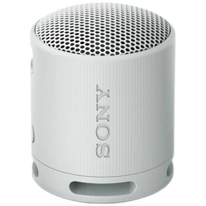 Портативна колонка Sony SRS-XB100 Grey (SRSXB100H.CE7)
