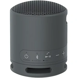 Портативная колонка Sony SRS-XB100 Orange (SRSXB100D)