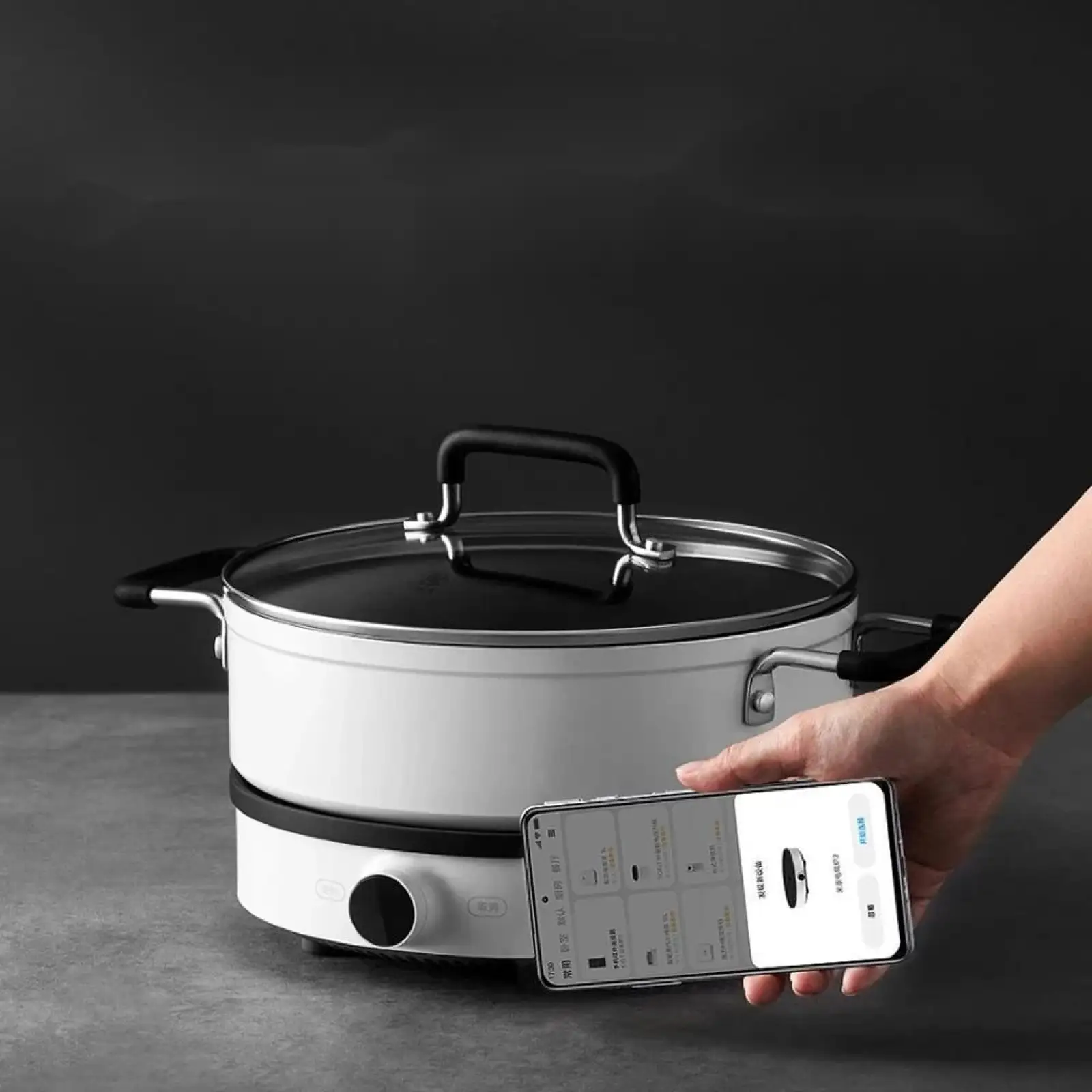 Настольная плита MiJia Induction Cooker 2 (MCL02M) EU