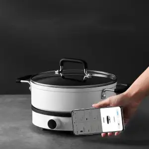 Настольная плита MiJia Induction Cooker 2 (MCL02M) EU