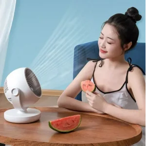 Вентилятор настольный Xiaomi Xiaoda Desktop Circulation Fan (XD-ZMXHS01)