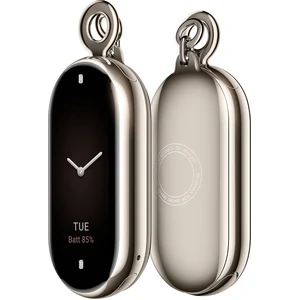 Подвеска Xiaomi Smart Band 8 Pendant (BHR7300CN)