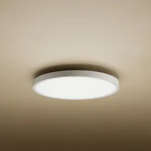 Потолочный светильник Xiaomi Smart Ceiling Light D40 (BHR9933GL) EU