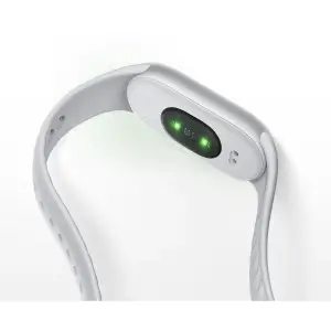 Фитнес-браслет Xiaomi Smart Band 11 NFC Midnight Black (BHR09KLGL)