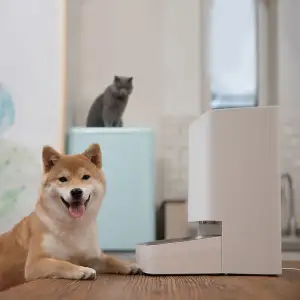 Розумна годівниця Xiaomi Smart Pet Food Feeder (BHR6143EU)