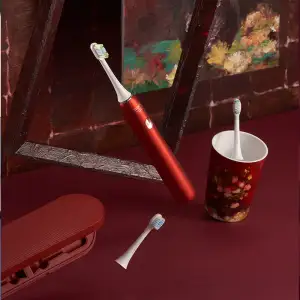 Зубна електрощітка Xiaomi SOOCAS X3U Van Gogh Museum Design Sonic Electric Toothbrush Chesnut Red EU
