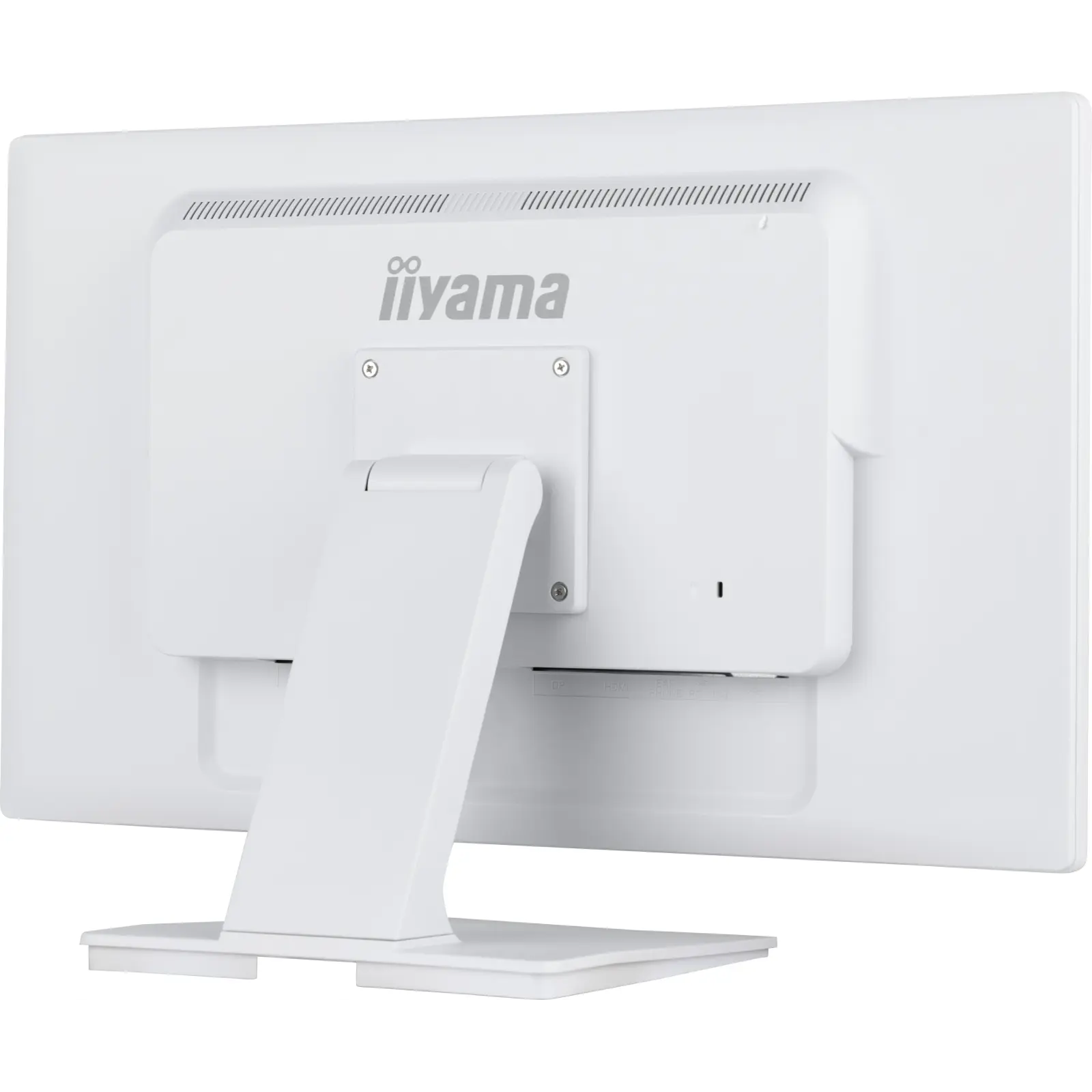 Монитор Iiyama ProLite (T2452MSC-W1AG) UA