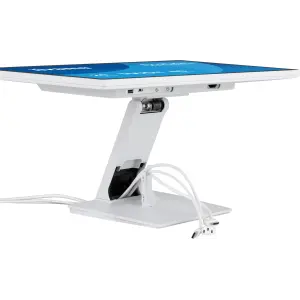 Монитор Iiyama ProLite (T2452MSC-W1AG) UA