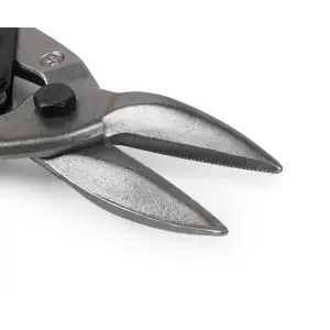 Ножиці по металу Polax 250 мм прямі Cr-V (25-001) UA