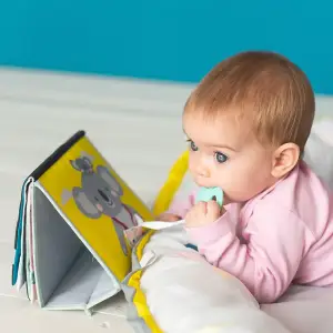 Розвиваюча книжка-розкладушка колекції 
