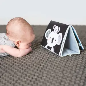 Розвиваюча книжка-розкладушка колекції 