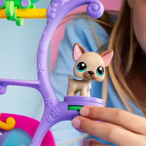Игровой набор LITTLEST PET SHOP – ШОУ ТАЛАНТОВ (2 фигурки, сцена, аксесс.) (00558)