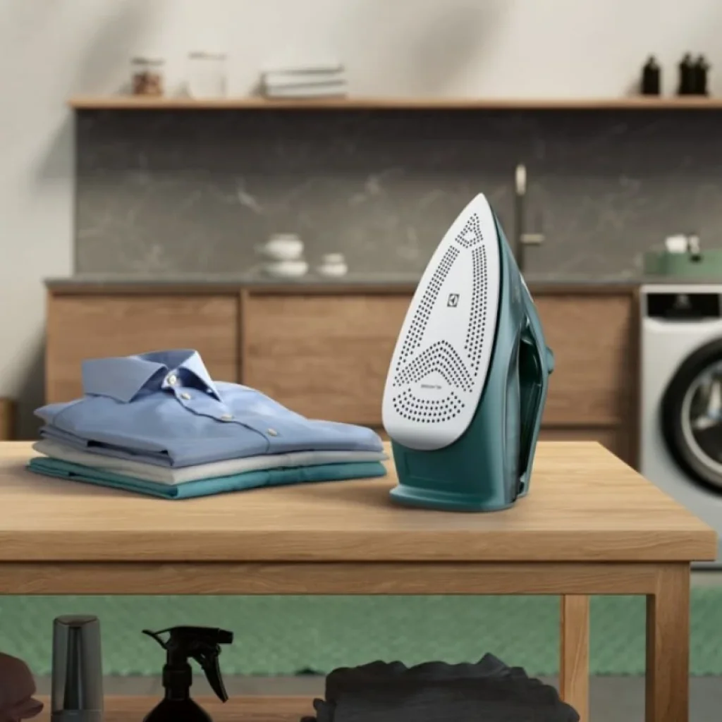Утюг Electrolux E6SI1-6PG UA