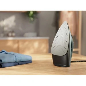 Праска Electrolux E5SI2-6OG UA