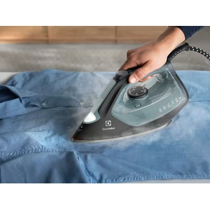 Праска Electrolux E7SI2-6OG UA